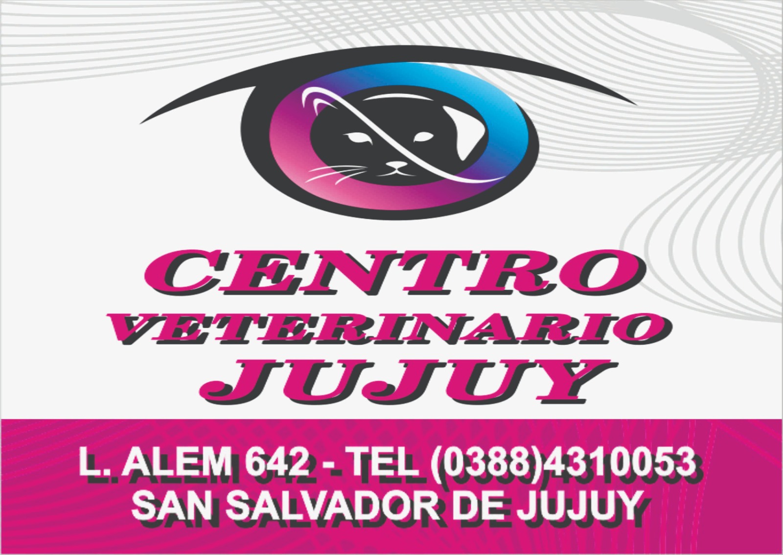 Logo de Centro Veterinario Jujuy con ícono de gato y datos de contacto